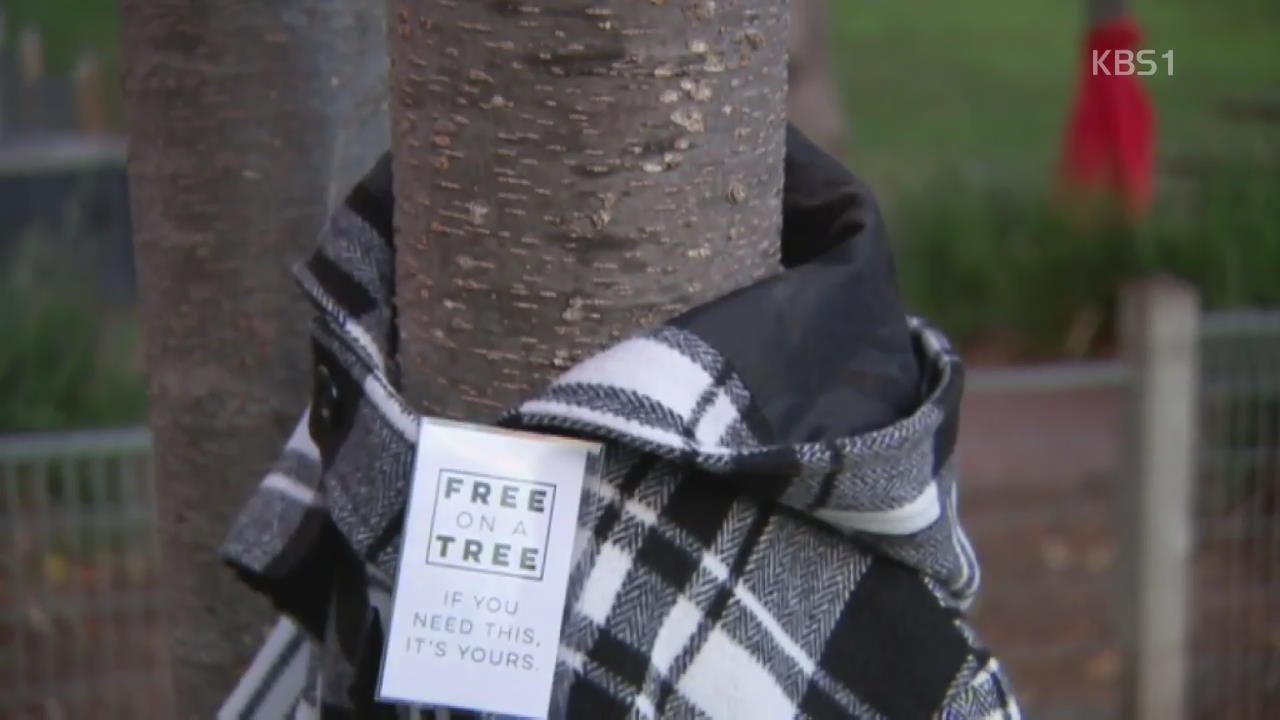 호주, 노숙자 위해 옷 입는 나무