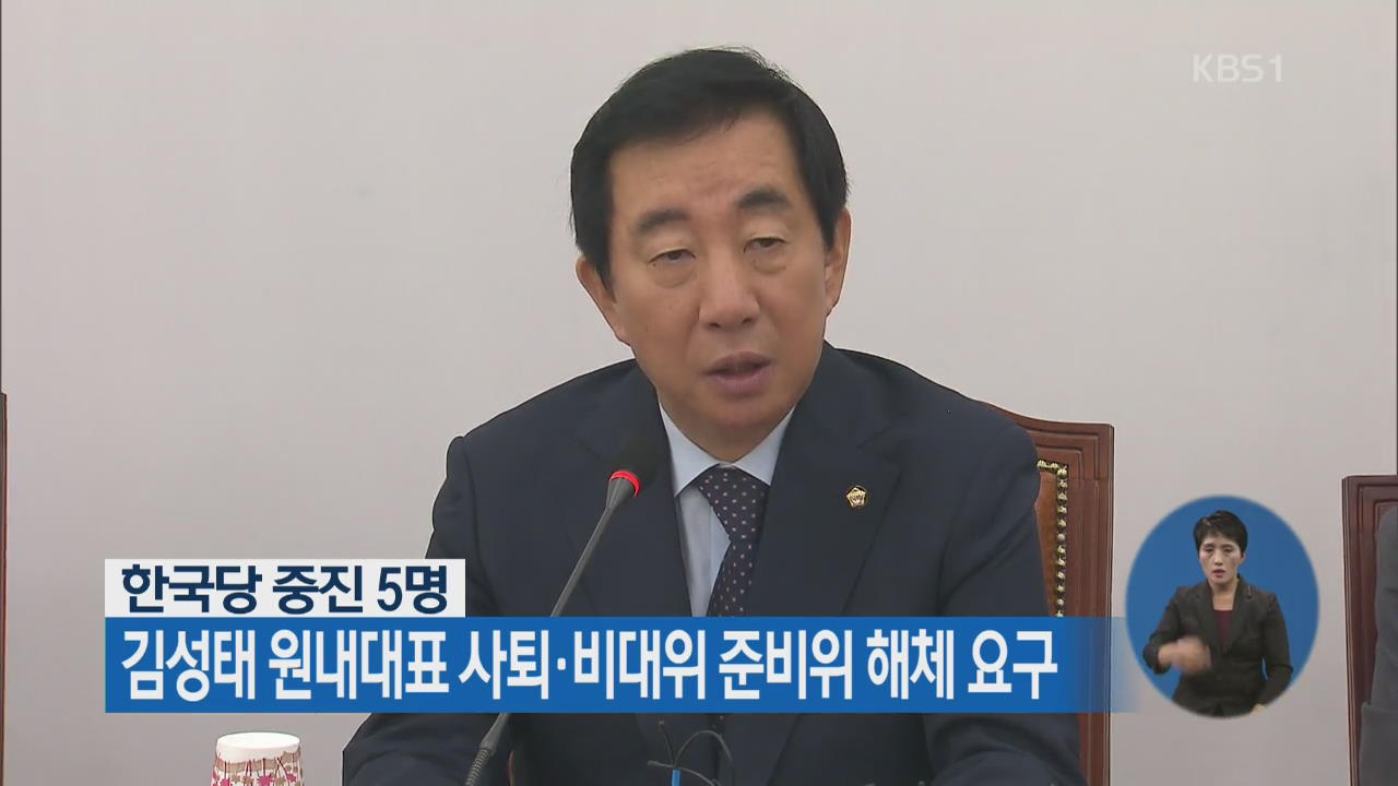 한국당 중진 5명, 김성태 원내대표 사퇴·비대위 준비위 해체 요구