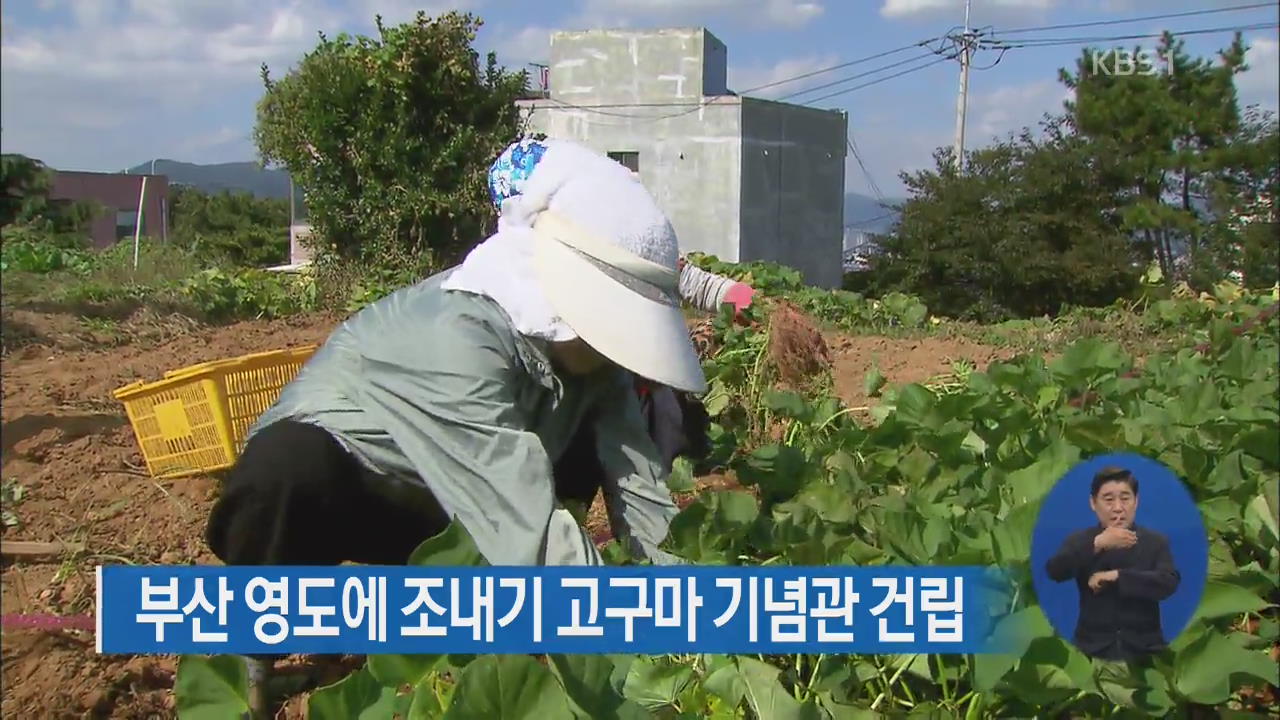 부산 영도에 조내기 고구마 기념관 건립