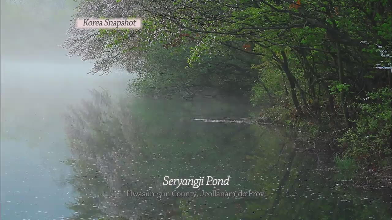 [Korea Snapshot] Seryangji Pond