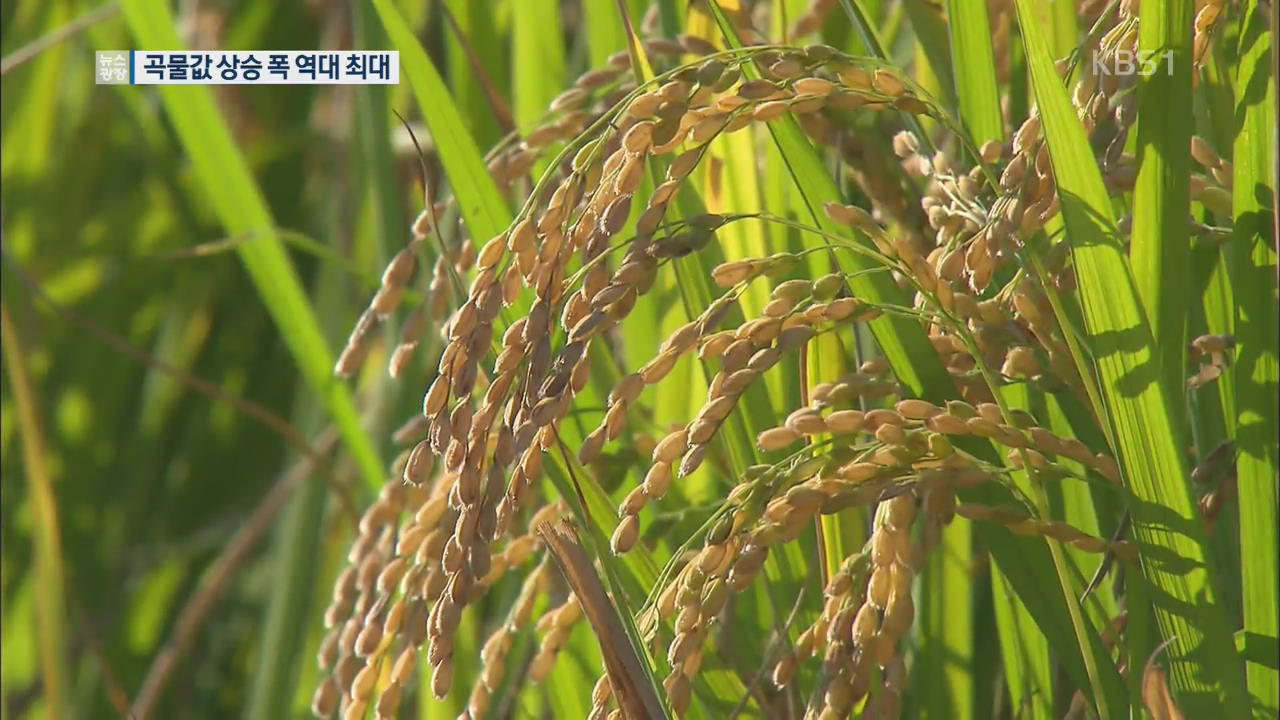 상반기 곡물값 상승 역대 최고…“쌀값 영향”