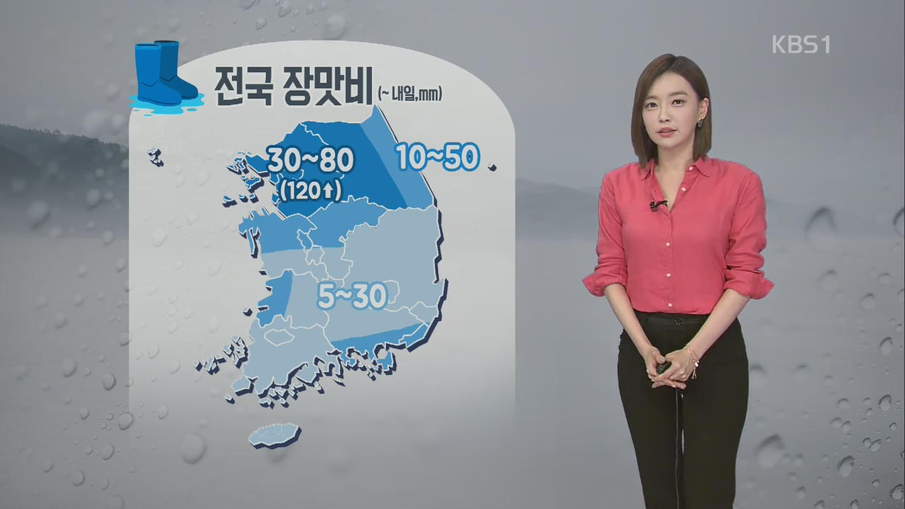 [날씨] 전국 장맛비…경기 북부·강원 영서 최고 120mm 이상