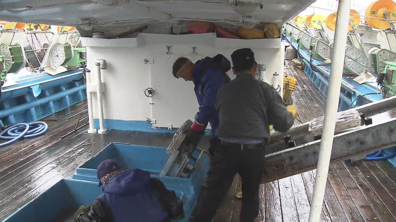 “어장 지키려”…손해 감수 러시아 오징어잡이