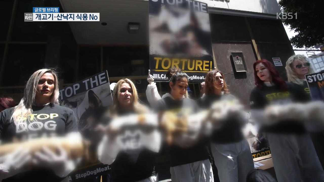 [글로벌 브리핑] 美 LA서 개고기·산낙지 식용 반대 운동