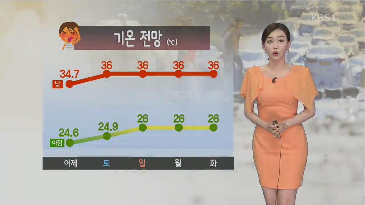 [날씨] 오늘부터 더 더워…서울 한낮 36도, 대구 38도