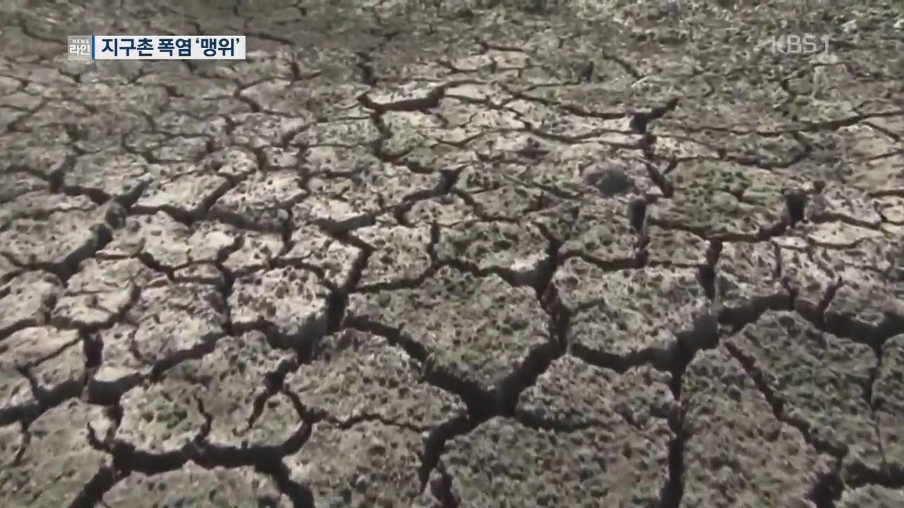 도쿄 41도 사상최고기온…펄펄 끓는 지구촌