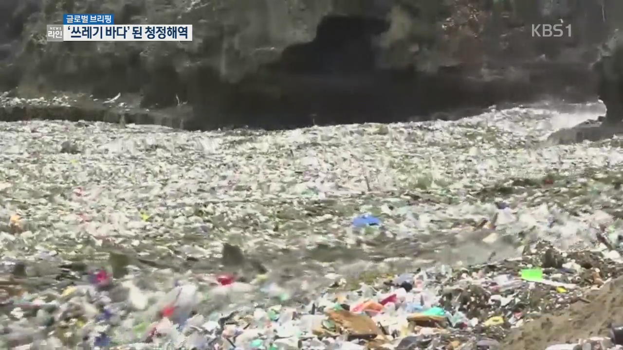 [글로벌 브리핑] 폭풍 지나가자 해양 쓰레기 ‘산더미’