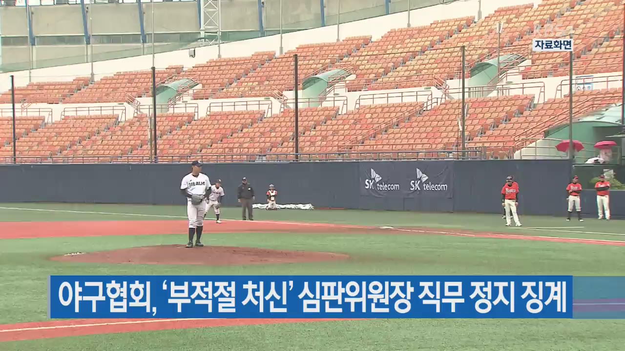 야구협회, ‘부적절 처신’ 심판위원장 직무 정지 징계