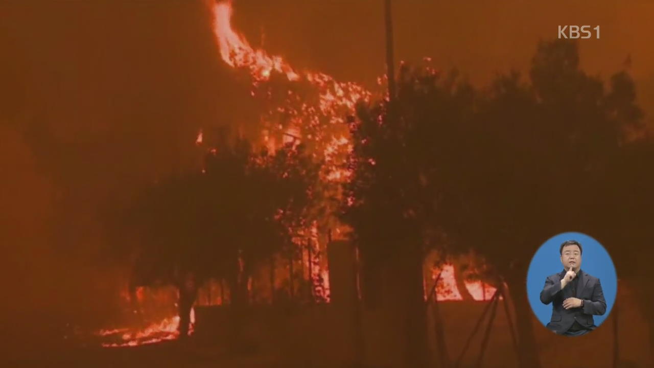 그리스 동시다발 대형 산불…70여 명 사망