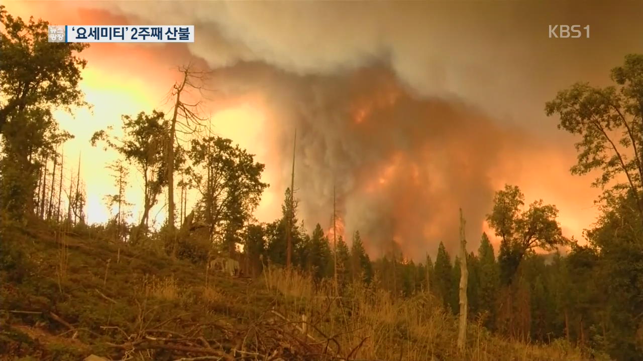 [지금 세계는] 美 요세미티 국립공원 대형 산불로 폐쇄…수천 명 대피