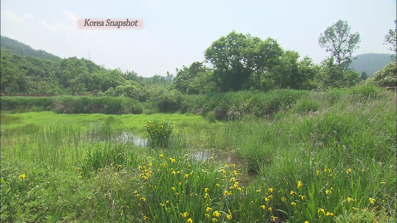[Korea Snapshot] Ungok Wetland
