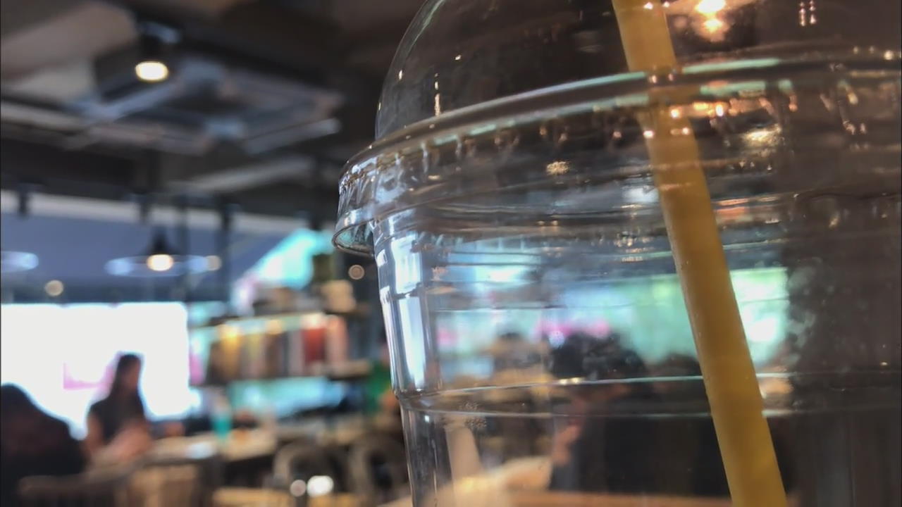 Plastic Cup Ban