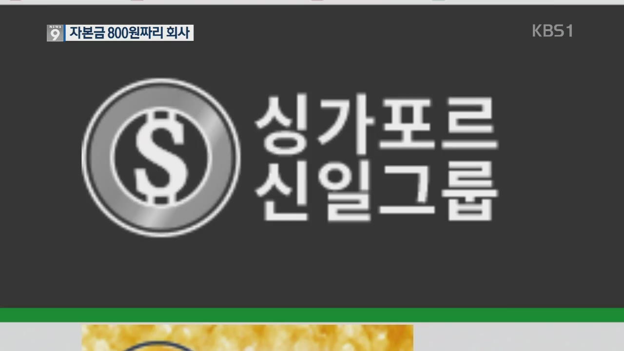 [단독] 싱가포르 신일그룹, 자본금 800원뿐인 ‘서류상 회사’