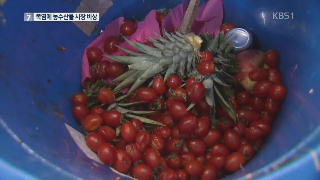 “팔기도 전에 상해요”…농수산물 시장도 비상