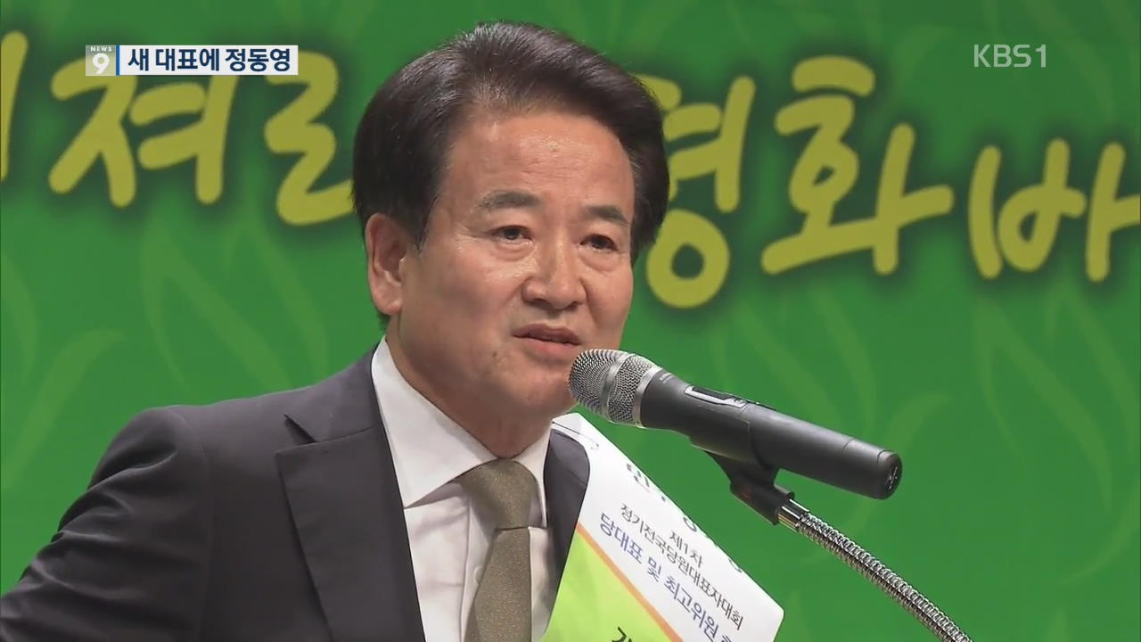 민주평화당 새 대표 정동영…“선거제도 개혁” 기치