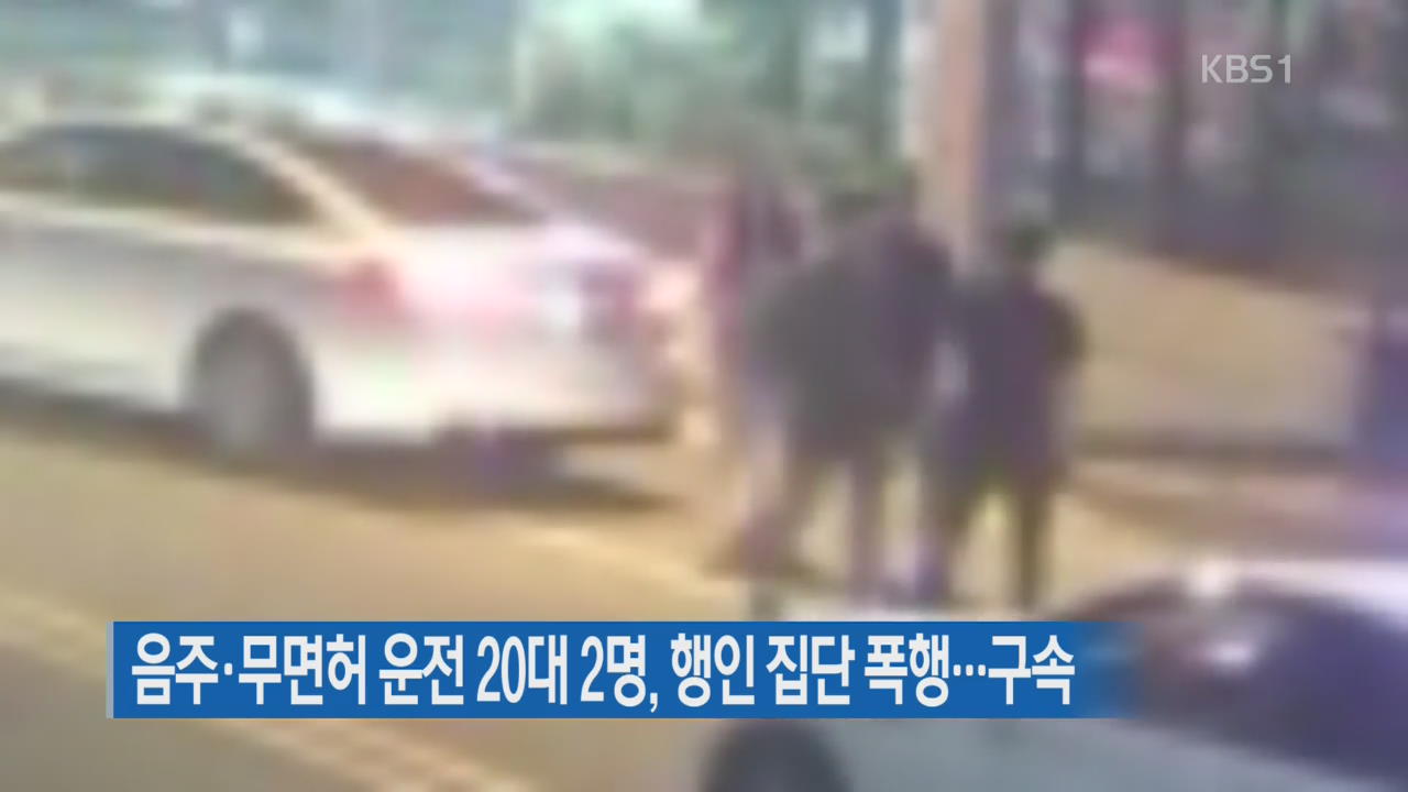 음주·무면허 운전 20대 2명, 행인 집단 폭행…구속