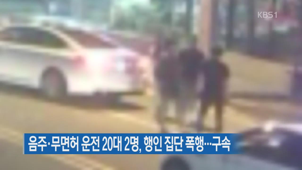 음주·무면허 운전 20대 2명, 행인 집단 폭행…구속