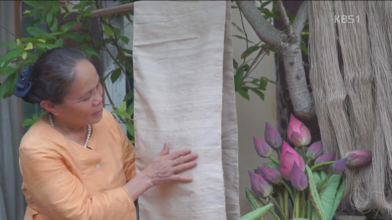 베트남, 연꽃 줄기로 만드는 귀한 ‘로터스 실크’
