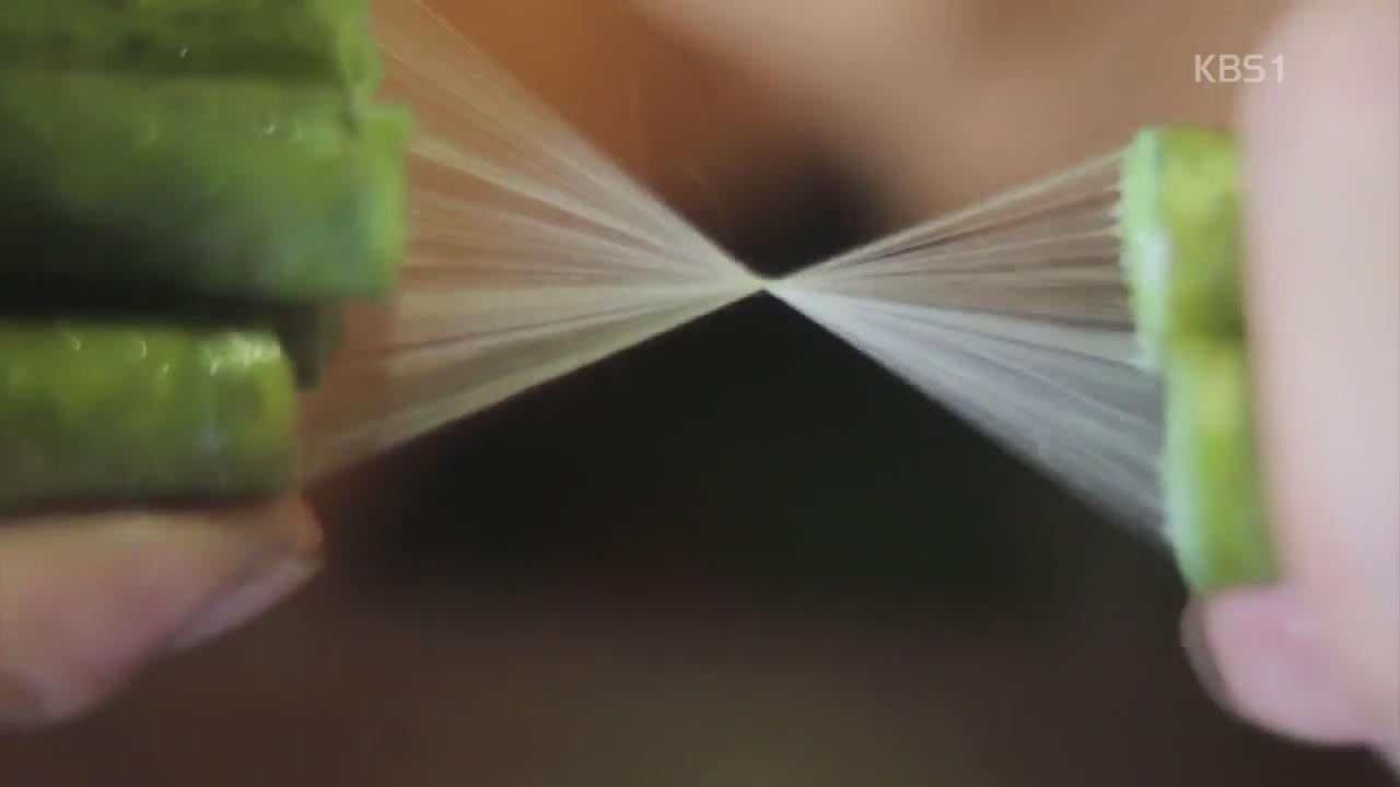 연꽃 줄기로 만드는 귀한 ‘로터스 실크’