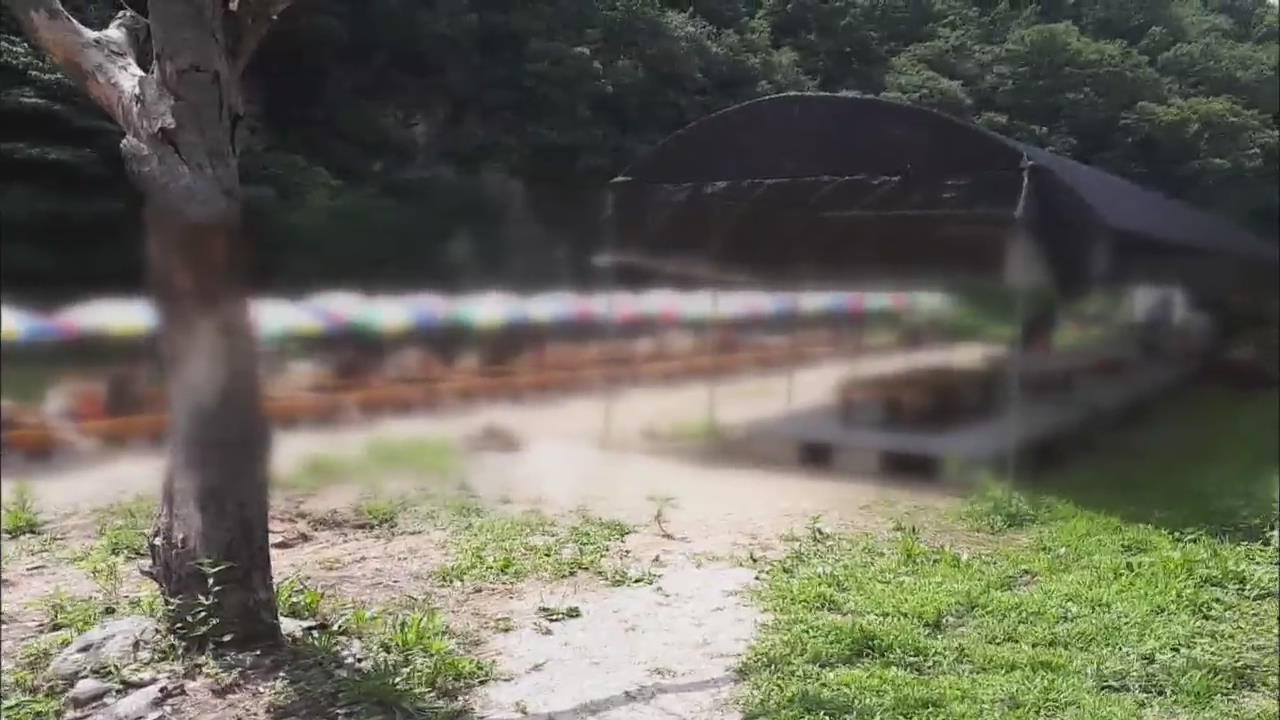 Illegal Facilities