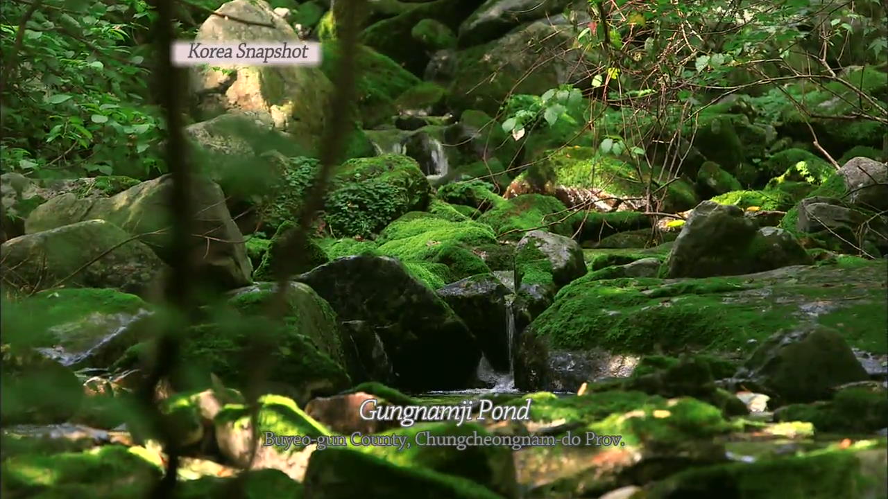 [Korea Snapshot] Gungnamji Pond