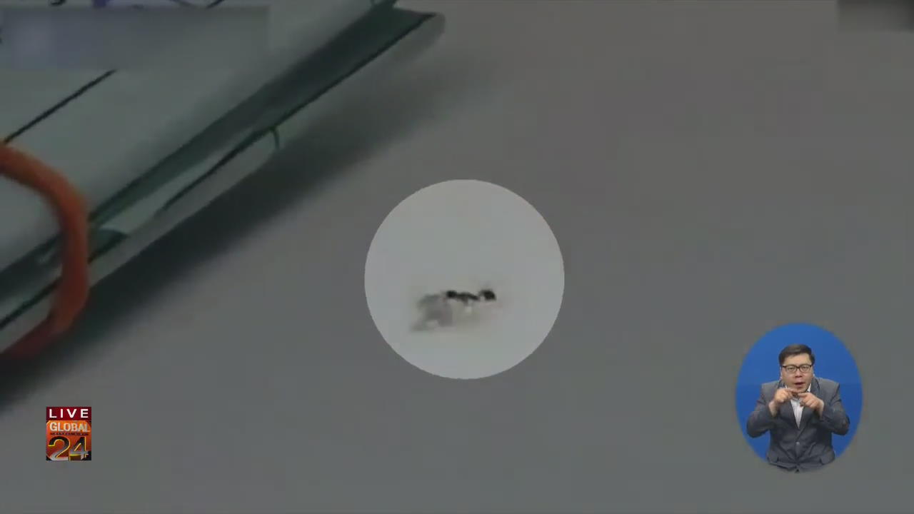 [글로벌24 브리핑] ‘세계에서 가장 작은 다이아몬드 도둑’