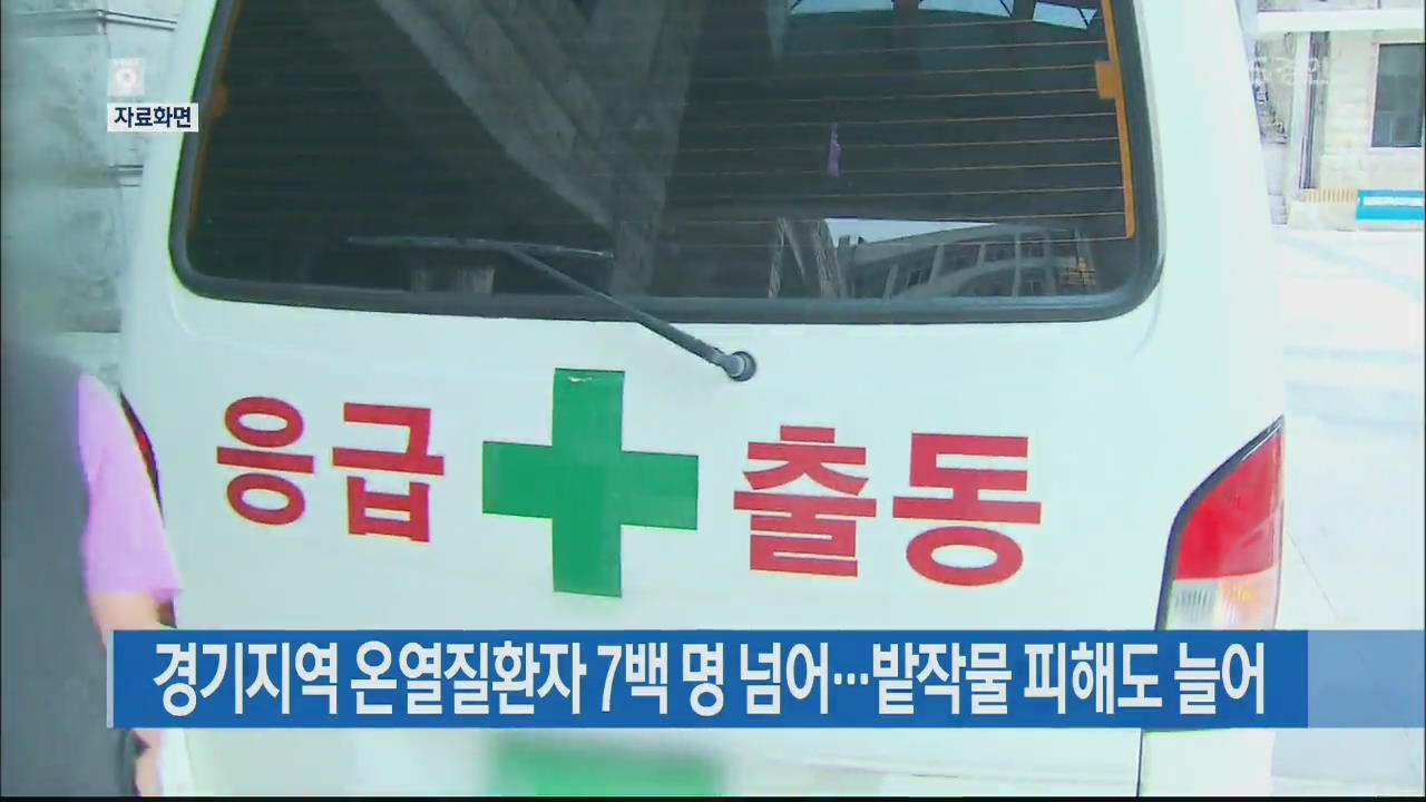 경기지역 온열질환자 7백 명 넘어…밭작물 피해도 늘어