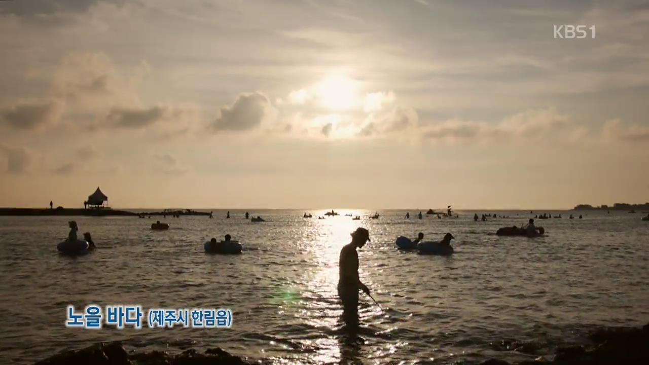 [뉴스광장 영상] 노을 바다