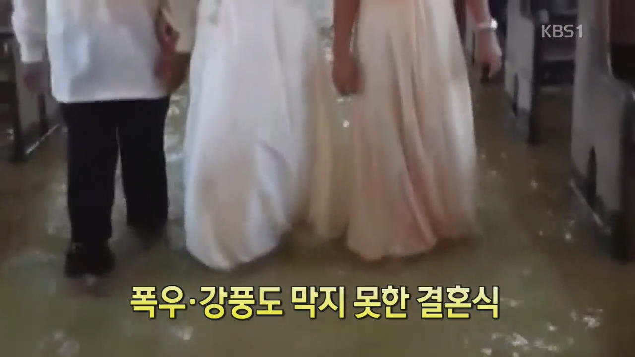 [디지털 광장] 폭우·강풍도 막지 못한 결혼식