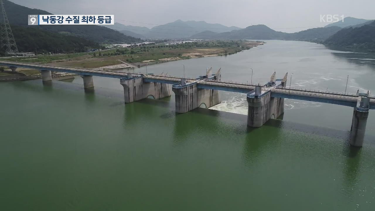 [단독] 낙동강 원수 수질 최악…최하 6등급 ‘죽은 물’