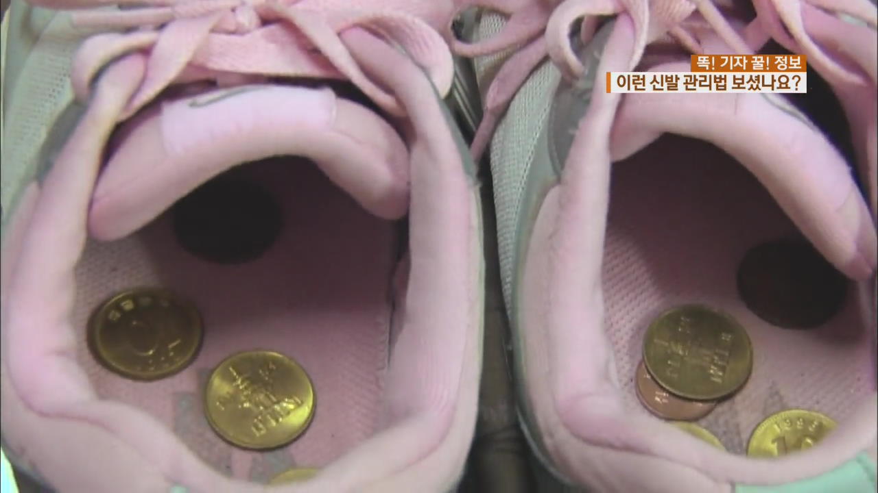 [똑! 기자 꿀! 정보] “냄새 잡는 동전? 냉장고에 신발?”…여름철 신발 관리법
