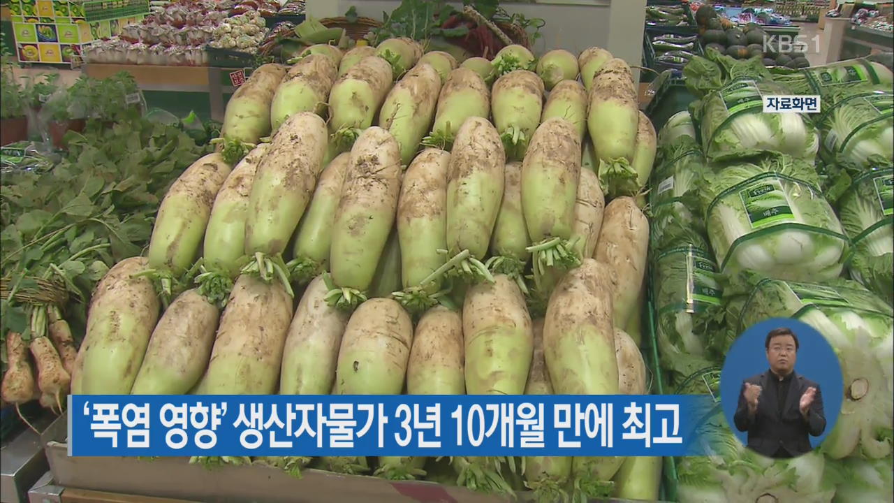 ‘폭염 영향’ 생산자물가 3년 10개월 만에 최고