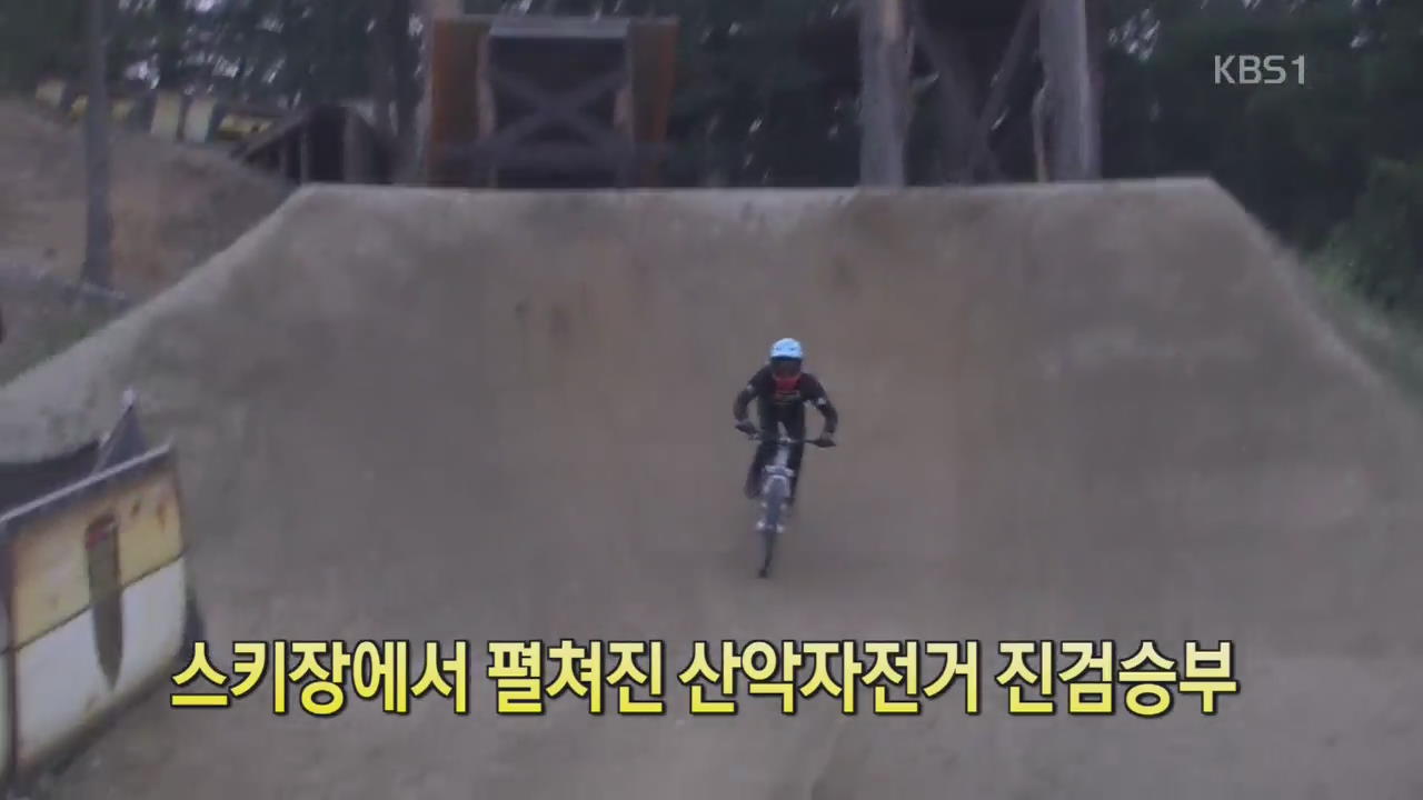 [디지털 광장] 스키장에서 펼쳐진 산악자전거 진검승부