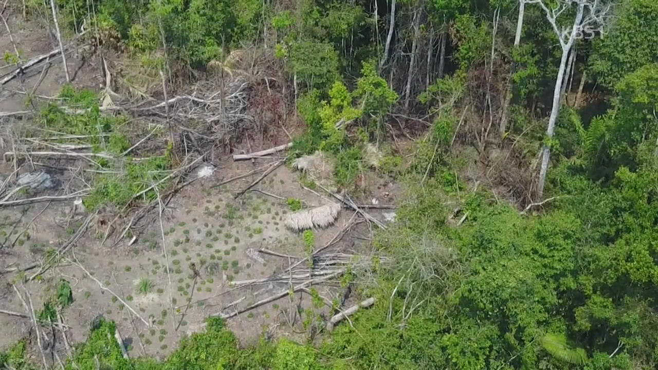 문명과 고립된 아마존 부족, ‘드론이 찾았다’