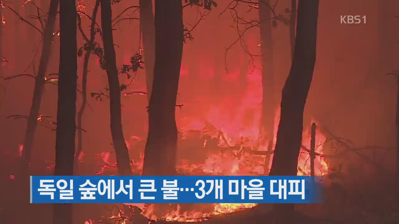 [지금 세계는] 독일 숲에서 큰 불…3개 마을 대피
