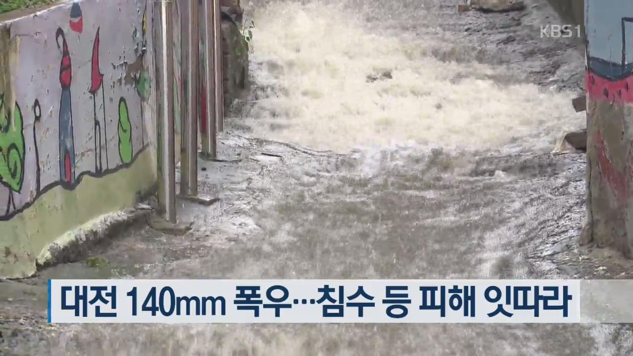 대전 140mm 폭우…침수 등 피해 잇따라