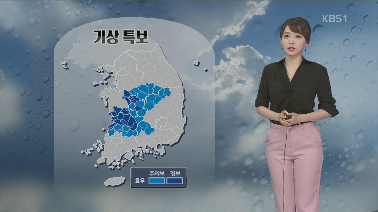 [날씨] 비 구름 남하…충청남부·남부지방 집중호우