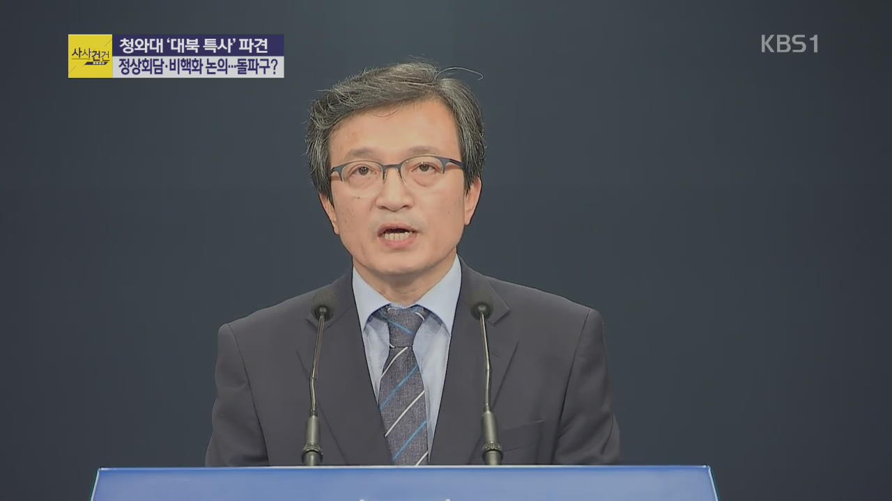 청와대 ‘대북 특사’ 파견…정상회담·비핵화 논의 ‘돌파구?’