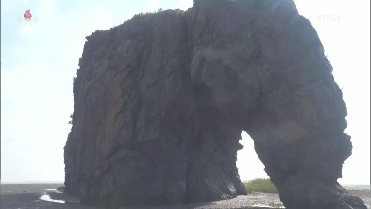 [북한 영상] 비단섬 코끼리바위