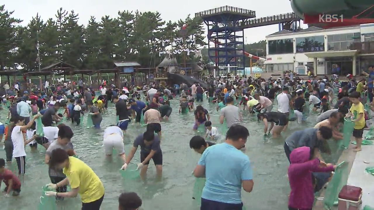 먹을거리·즐길거리 가득…남도 곳곳 가을축제 풍성