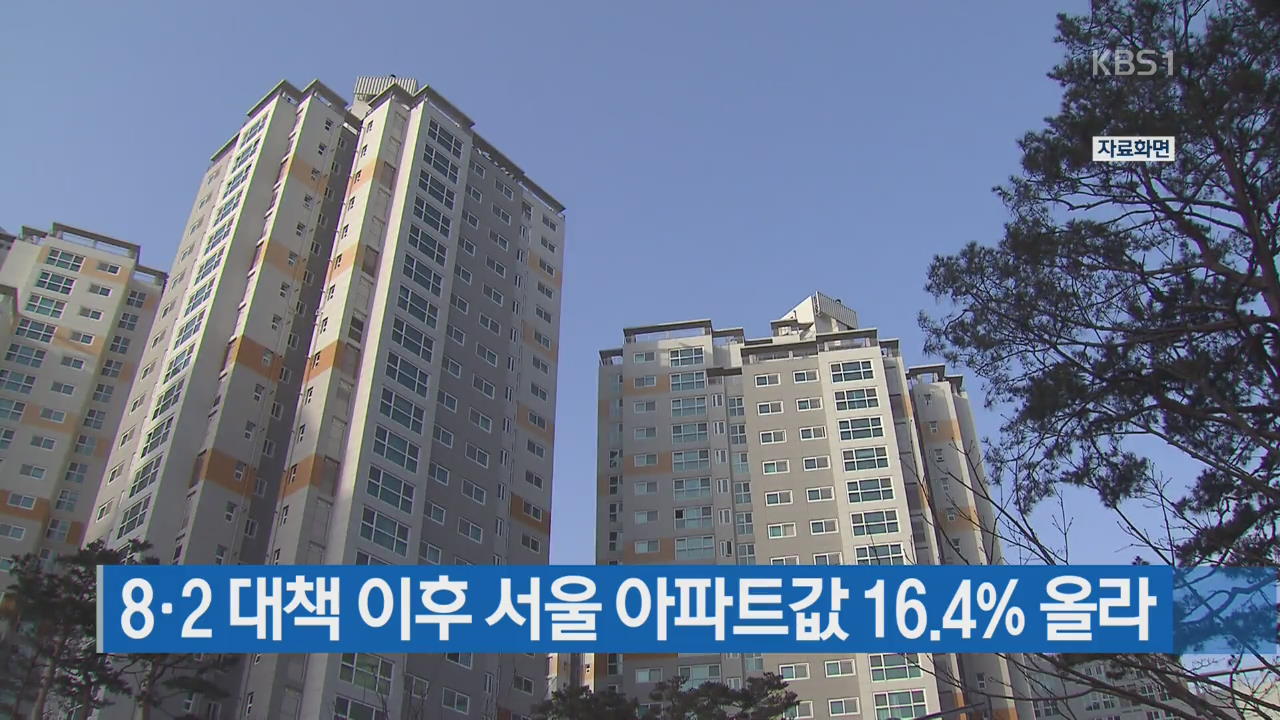 8·2 대책 이후 서울 아파트값 16.4% 올라
