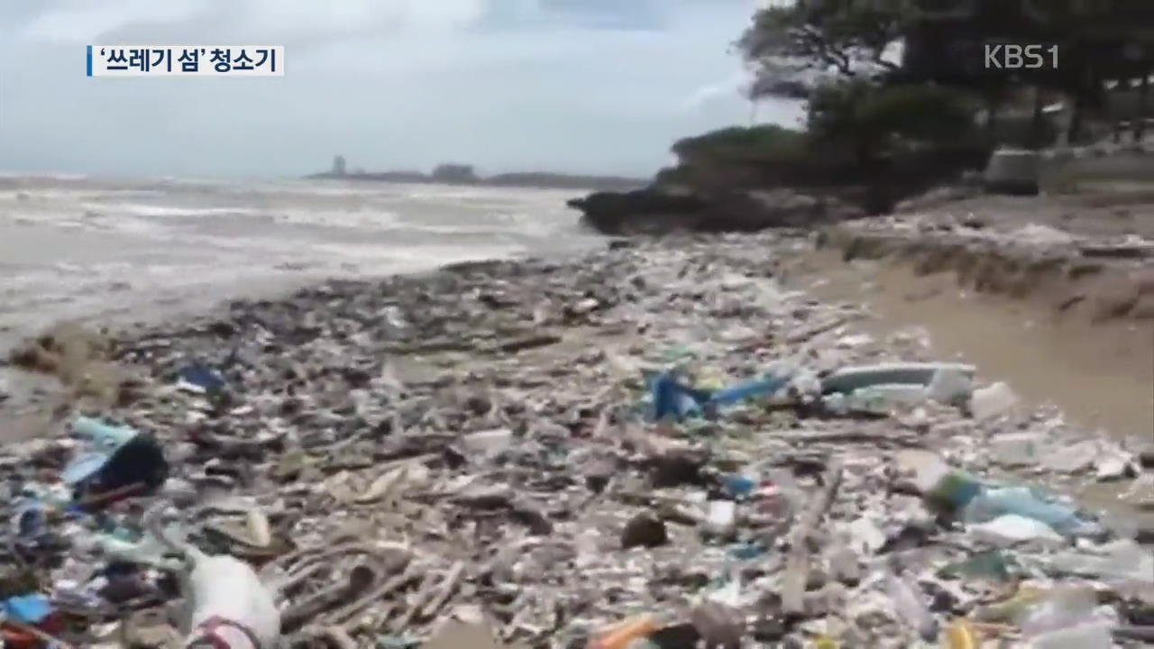 [지금 세계는] 태평양 ‘플라스틱 쓰레기 섬’ 제거 착수