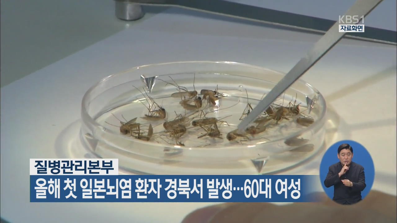 올해 첫 일본뇌염 환자 경북서 발생…60대 여성
