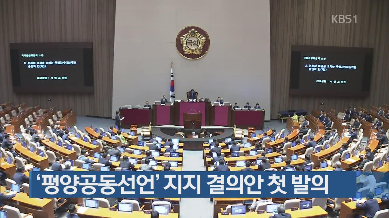 ‘평양공동선언’ 지지 결의안 첫 발의