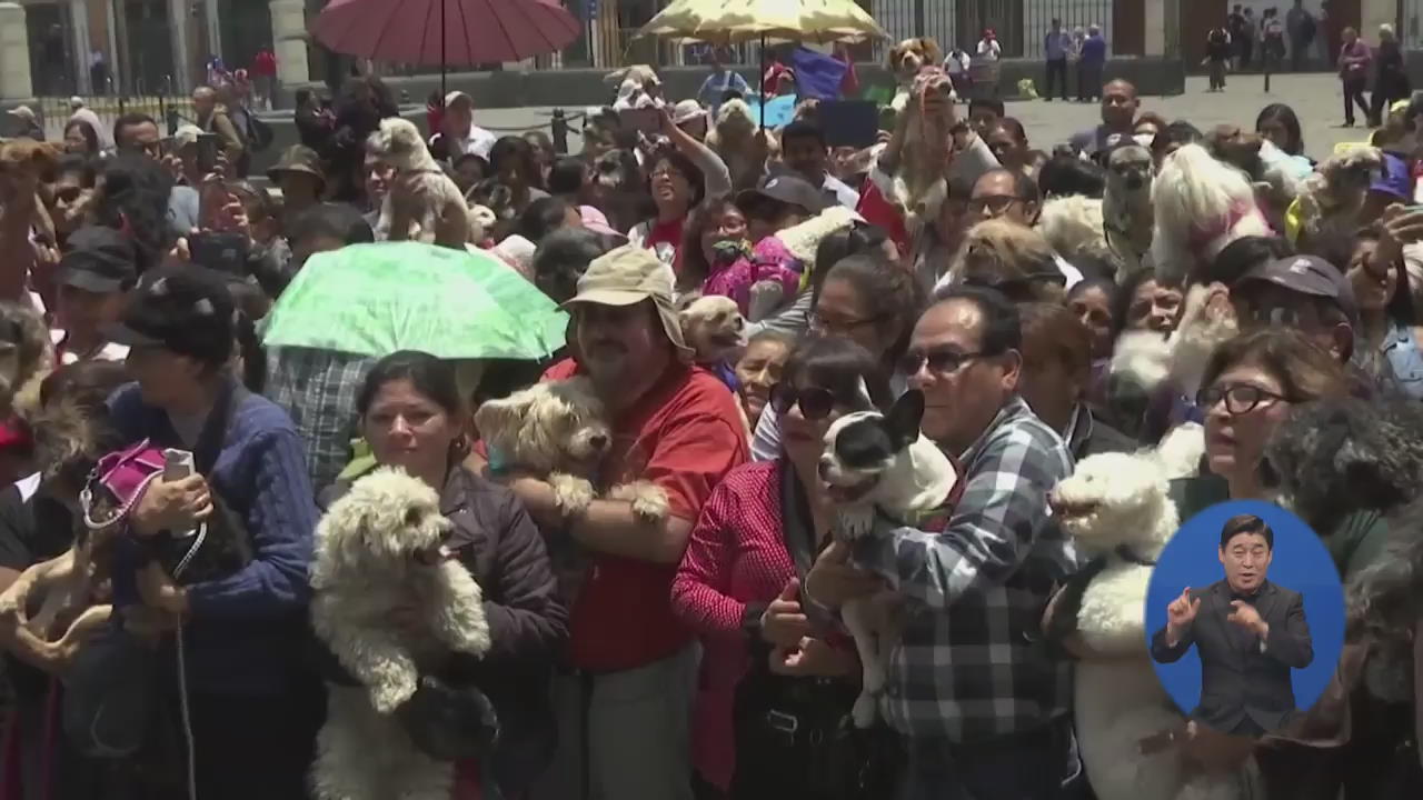 페루, 성당에 모인 애완동물 ‘건강 기원’ 세례식