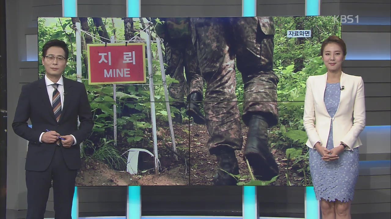 [오늘의 한 컷] 남북, 판문점 JSA·철원 DMZ 지뢰제거 돌입