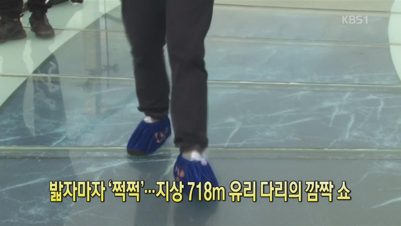 [디지털 광장] 밟자마자 ‘쩍쩍’…지상 718m 유리 다리의 깜짝 쇼