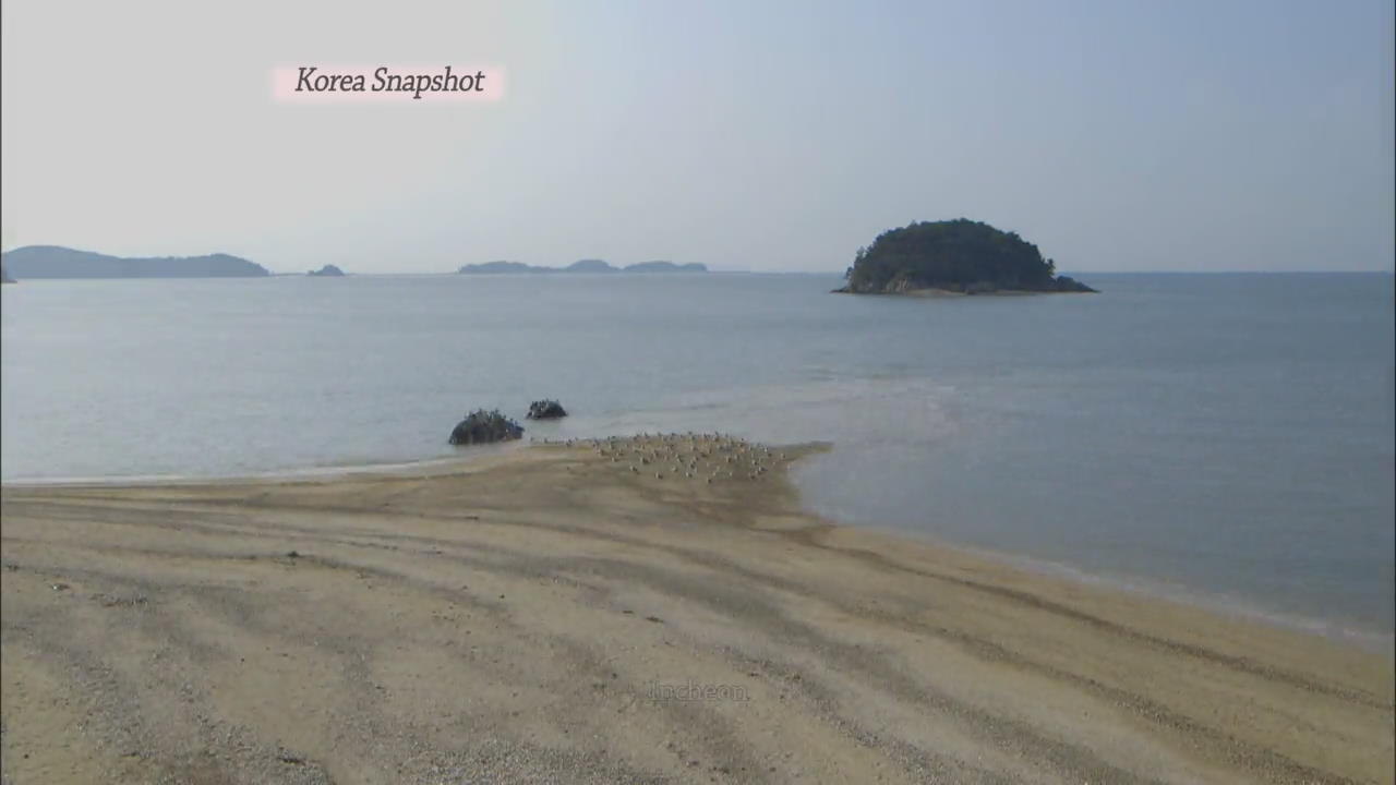 [Korea Snapshot] Opening of the sea