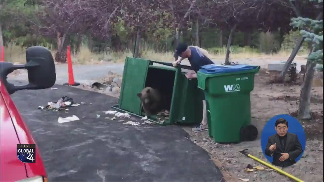 [글로벌 스토리] 쓰레기통에 누가 숨었나?…새끼 곰 구출