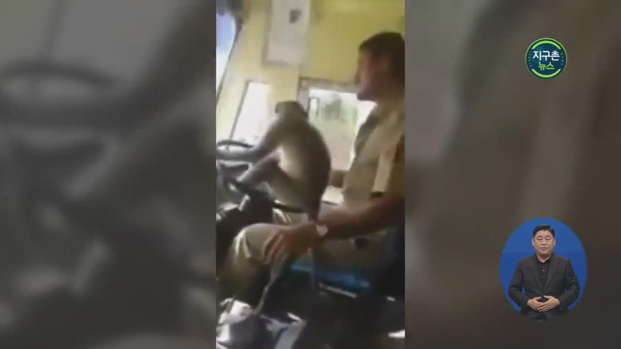 인도 ‘원숭이 운전’ 논란…버스 기사 정직당해